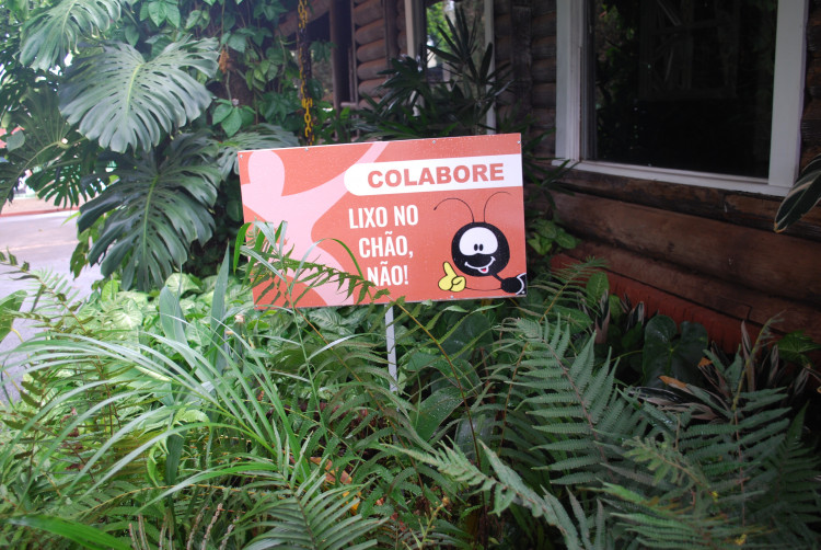 Placas (37)